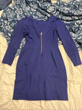 Banana Republic Royal Blue Long-Sleeve V-Neck Dress with Gold Zipper